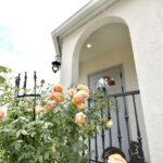 サロン開業⓬周年！お客様の喜びの声まとめ