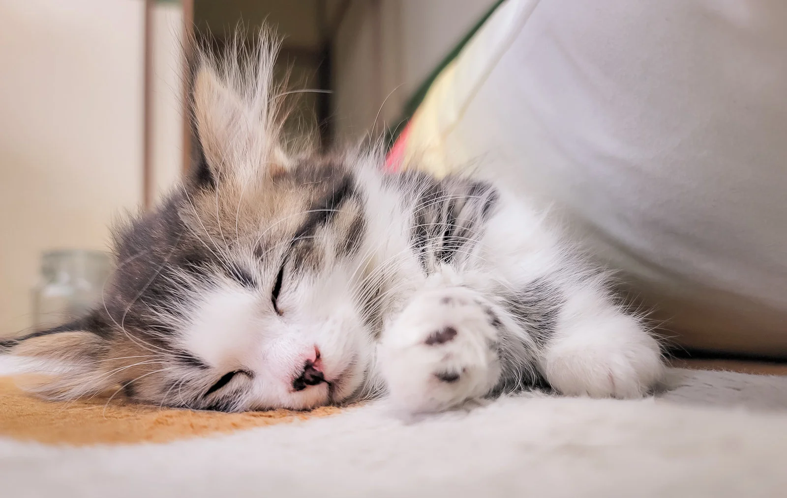 睡眠で美しく痩せる！