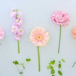 ビフォーアフターを掲載いたします。