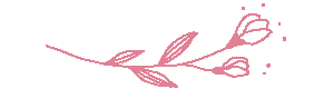 Delicate pink botanical illustration of a curved sprig with three buds as blossoms on the right.